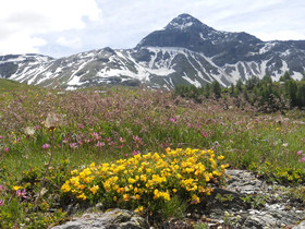 Rifugio Ca Runcasch