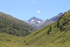Hotel La Colombina