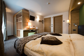Hotel Vedig