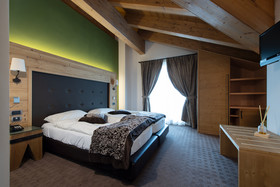 Hotel Vedig
