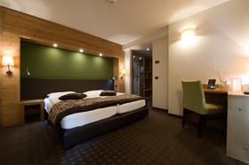 Hotel Vedig