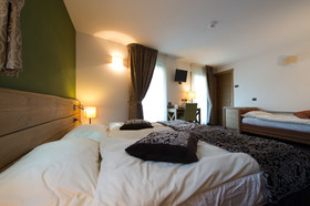Hotel Vedig