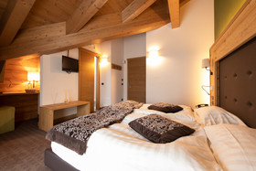 Hotel Vedig