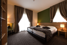 Hotel Vedig