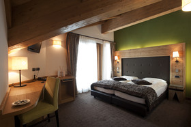 Hotel Vedig