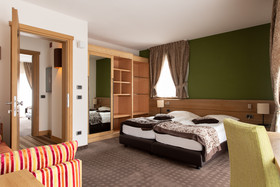 Hotel Vedig