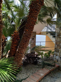 La Sterlizia Di Santa Croce