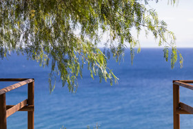 La Sterlizia Di Santa Croce