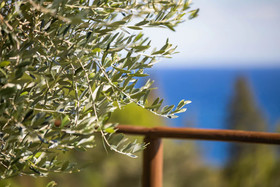 La Sterlizia Di Santa Croce