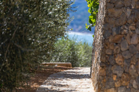 La Sterlizia Di Santa Croce