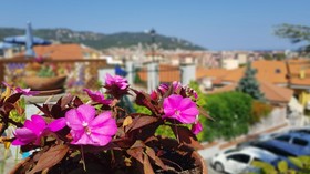 Residence Il Poggio