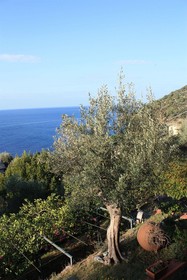 Hotel Villa Belvedere