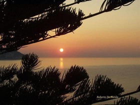 Della Punta
