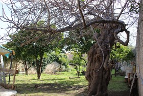 Giardinidivale