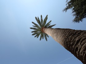 Villa delle Ciliegie