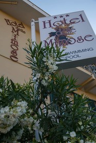 Delle Mimose