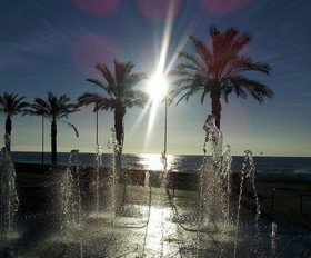 Savoia