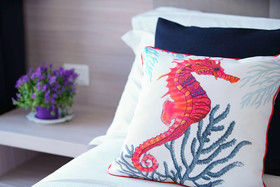 Bluripa Guest House