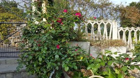 Ethnohotel B&B Villa Rosa Dei Venti