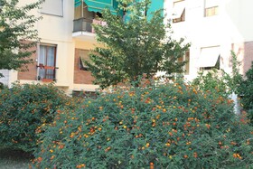 La Perla Affittacamere