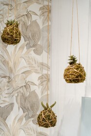 Le 5 Terre La Spezia