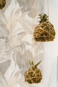 Le 5 Terre La Spezia