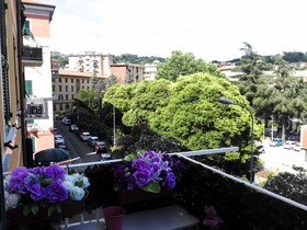 Le Stelle di Martina Affittacamere