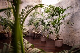 Villa Riviera Resort