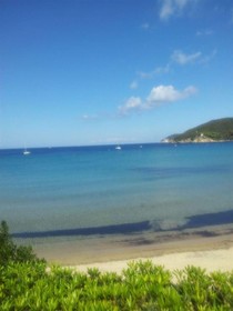 Del Golfo