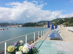 Shelley e delle Palme