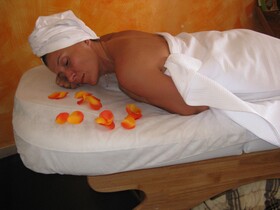 Shelley e delle Palme