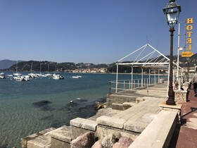 Shelley e delle Palme