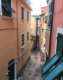 Shelley e delle Palme