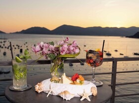 Shelley e delle Palme