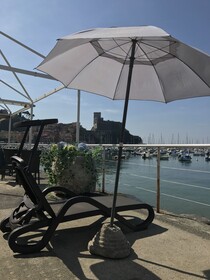 Shelley e delle Palme