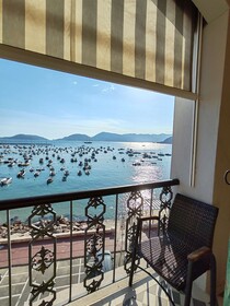 Shelley e delle Palme