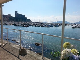 Shelley e delle Palme