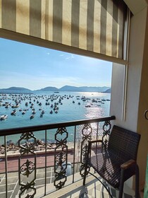 Shelley e delle Palme