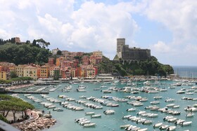 Shelley e delle Palme