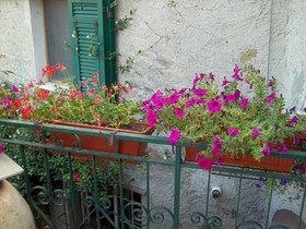 Agriturismo Il Frantoio