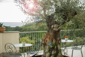 Hotel Al Terra di Mare