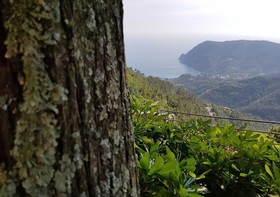 Santuario Nostra Signora Di Soviore