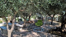 B&B Elfo Degli Ulivi