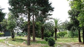 La Corte Natural Resort