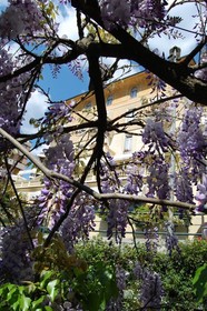 Canali