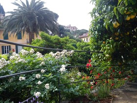 Canali