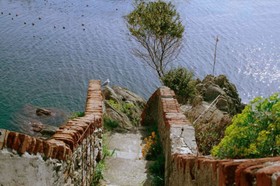 L'Ancora
