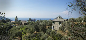The Garden