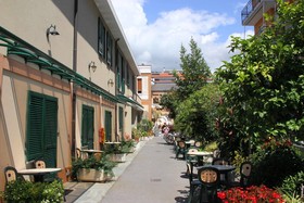 Delle Rose