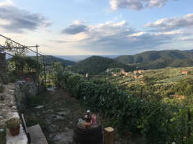 Agriturismo Lavalleggia